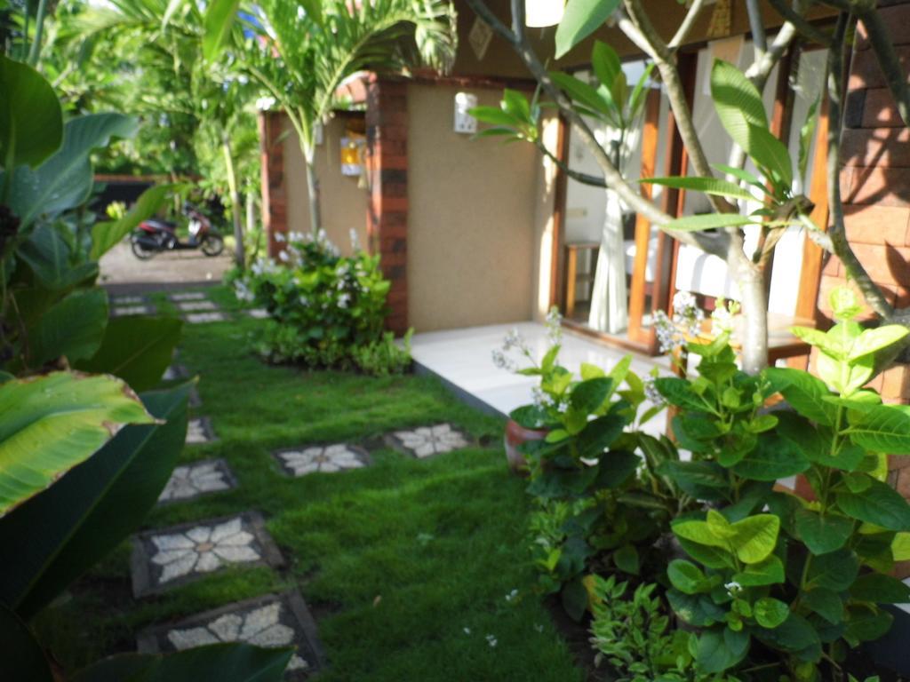 Made Taro - Menjangan Homestay Banyuwedang Zewnętrze zdjęcie